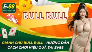 Bull Bull